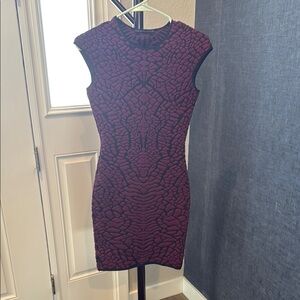 RVN Purple & Black Bodycon Dress
